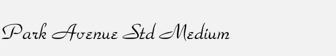Park Avenue Std Medium