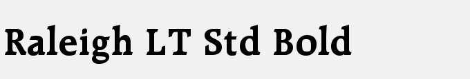 Raleigh LT Std Bold