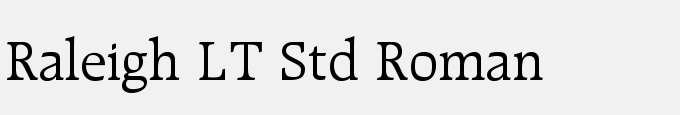 Raleigh LT Std Roman