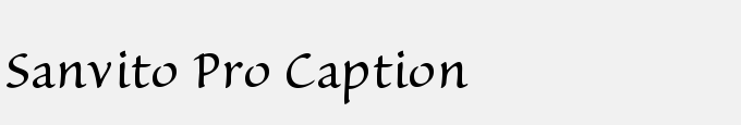 Sanvito Pro Caption