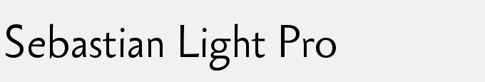 Sebastian Light Pro