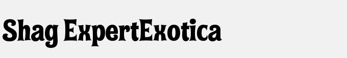 Shag Expert-Exotica