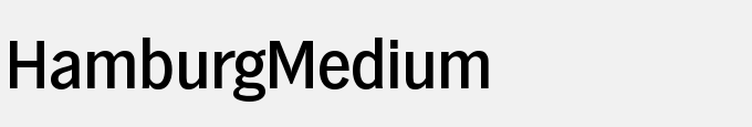 Hamburg-Medium