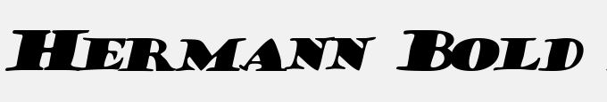 Hermann Bold Italic