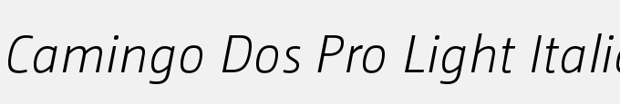 Camingo Dos Pro Light Italic