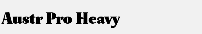 Austr Pro Heavy