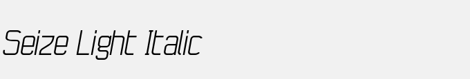 Seize Light Italic