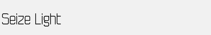 Seize Light