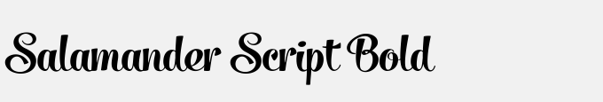 Salamander Script Bold