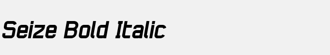 Seize Bold Italic