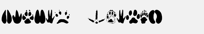 Animal Tracks