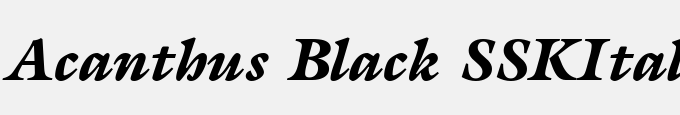 Acanthus Black SSK Italic