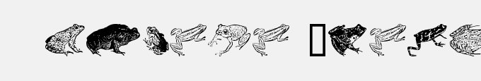 Amphibi Print