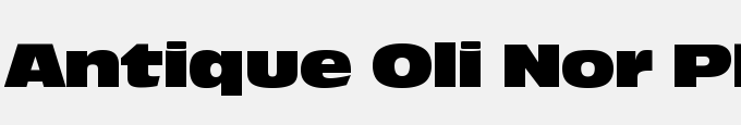 Antique Oli Nor PReg