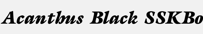 Acanthus Black SSK Bold Italic