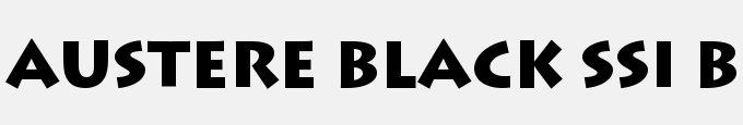 Austere Black SSi Black