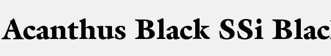 Acanthus Black SSi Black