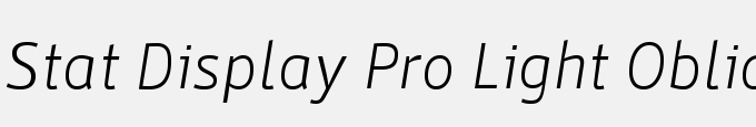 Stat Display Pro Light Oblique Negative