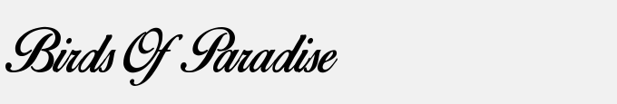 Birds Of Paradise