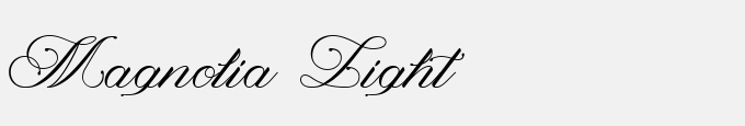 Magnolia Light