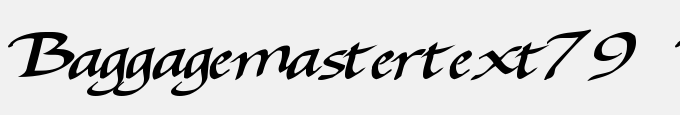 Baggage Master Text79 Bold
