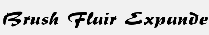 Brush Flair Expanded Regular