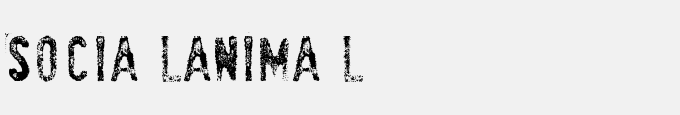 Socia LAnima L
