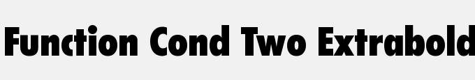 Function Cond Two Extrabold-Regular