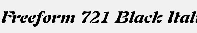 Freeform 721 Black Italic BT