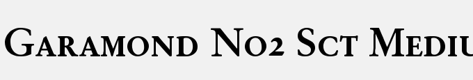 Garamond No2SCTMed