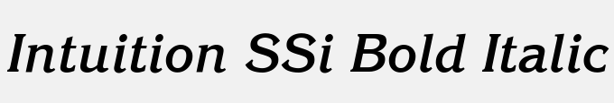 Intuition SSi Bold Italic