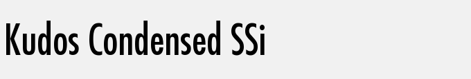 Kudos Condensed SSi