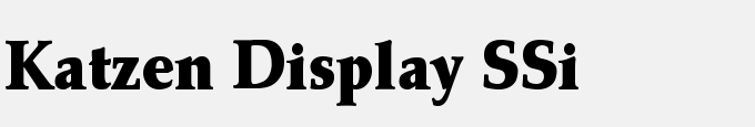 Katzen Display SSi