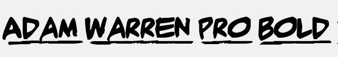 Adam Warren Pro Bold Italic