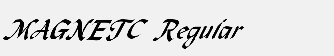MAGNETC Regular