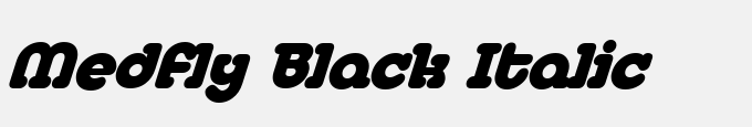 Medfly Black Italic