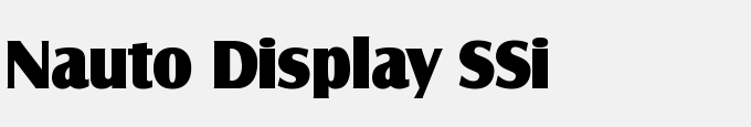 Nauto Display SSi