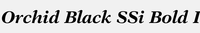 Orchid Black SSi Bold Italic