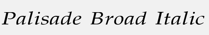 Palisade Broad Italic