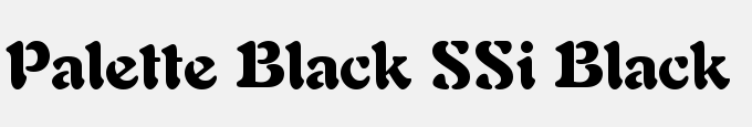 Palette Black SSi Black