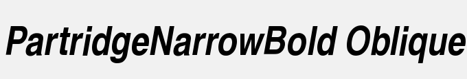 Partridge-Narrow-Bold Oblique