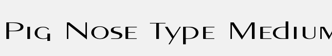 Pig Nose Type Medium