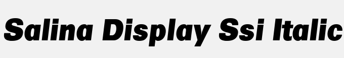 Salina Display SSi Italic