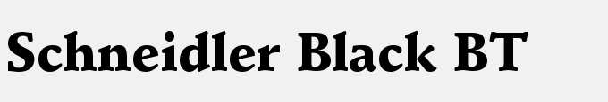 Schneidler Black BT