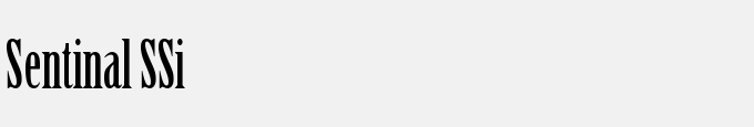 Sentinal SSi