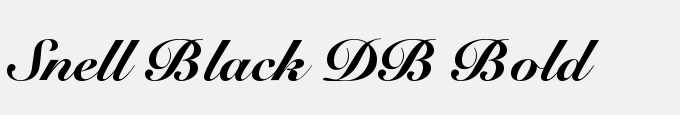 Snell Black DB Bold