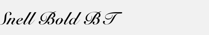 Snell Bold BT