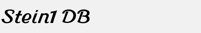 Stein1 DB