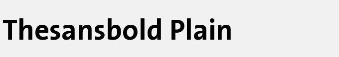 The Sans Bold Plain