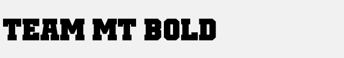 Team MT Bold